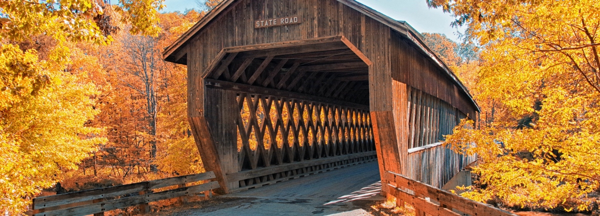 A scenery image of a wooden bridge.