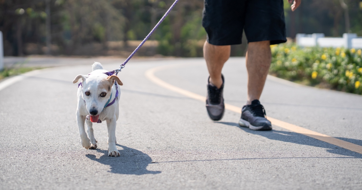 A man walking with a dog.